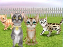 Catz 6 Screenshots
