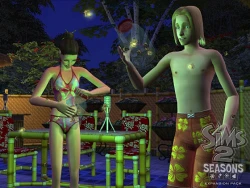 Скриншот к игре The Sims 2: Seasons