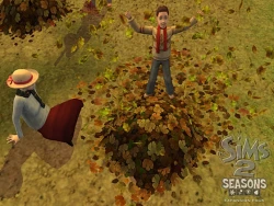 Скриншот к игре The Sims 2: Seasons