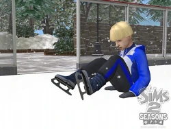 Скриншот к игре The Sims 2: Seasons