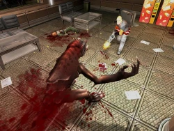Скриншот к игре Shadowgrounds Survivor