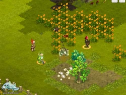 Скриншот к игре Wakfu
