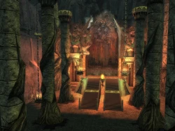 Скриншот к игре Guild Wars: Eye of the North