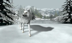 Nancy Drew: The White Wolf of Icicle Creek Screenshots