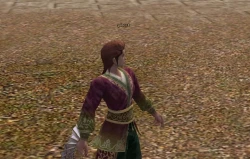 Metin2 Screenshots