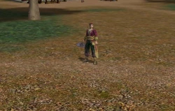 Metin2 Screenshots