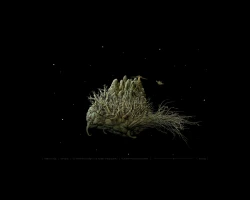 Samorost 2 Screenshots