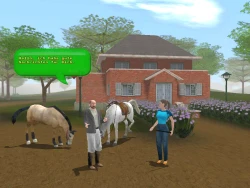 Championship Horse Trainer Screenshots