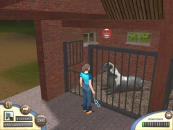 Championship Horse Trainer Screenshots