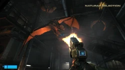 Natural Selection 2 Screenshots