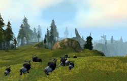 Скриншот к игре World of Warcraft: Wrath of the Lich King