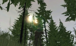 Скриншот к игре Operation Flashpoint: Dragon Rising