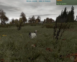 Скриншот к игре ArmA 2