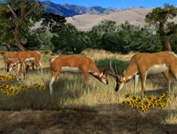 Big Buck Hunter Screenshots