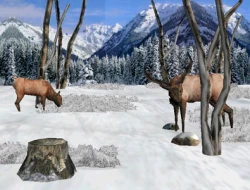 Big Buck Hunter Screenshots