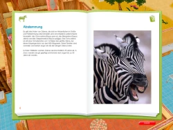 My Animal Center in Africa Screenshots