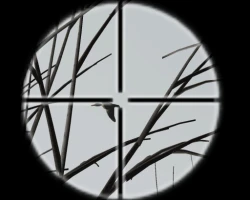 Xtreme Duck Hunting Screenshots