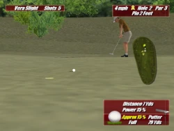 Leaderboard Golf Screenshots