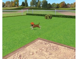 Petz Dogz 2 Screenshots