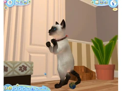 Скриншот к игре Petz Catz 2