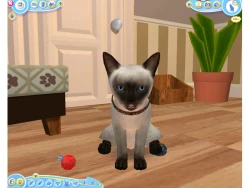 Скриншот к игре Petz Catz 2