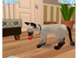 Скриншот к игре Petz Catz 2