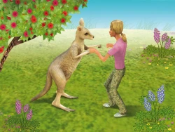 Pet Vet 3D: Animal Hospital Down Under Screenshots