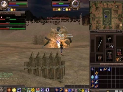Скриншот к игре Sho Online
