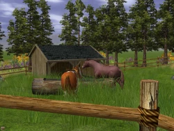 Скриншот к игре Wildlife Park 2: Horses