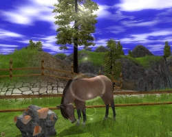 Скриншот к игре Wildlife Park 2: Horses