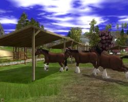 Скриншот к игре Wildlife Park 2: Horses