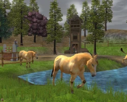 Скриншот к игре Wildlife Park 2: Horses