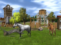 Скриншот к игре Wildlife Park 2: Horses