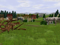 Wildlife Park 2: Horses Screenshots