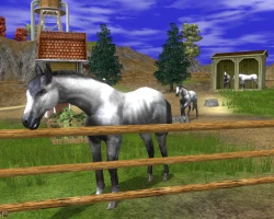 Скриншот к игре Wildlife Park 2: Horses