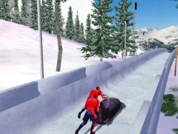 Winter Challenge 2008 Screenshots