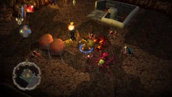 Arkadian Warriors Screenshots