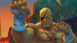 Скриншот к игре Street Fighter IV