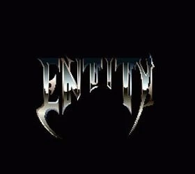 Entity