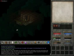 Скриншот к игре Eschalon: Book II