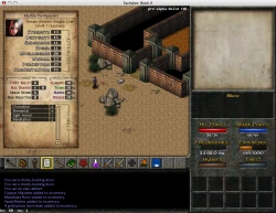 Eschalon: Book II Screenshots