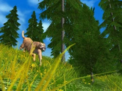 Hunting Unlimited 2009 Screenshots