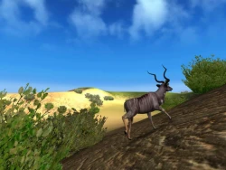 Hunting Unlimited 2009 Screenshots