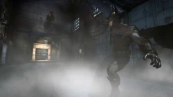 Скриншот к игре Batman: Arkham Asylum