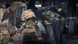 Скриншот к игре Batman: Arkham Asylum