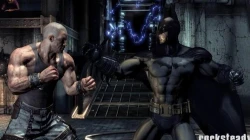 Скриншот к игре Batman: Arkham Asylum