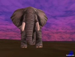 Everquest Screenshots