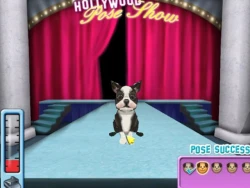 Hollywood Pets Screenshots