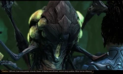 Скриншот к игре StarCraft II: Heart of the Swarm