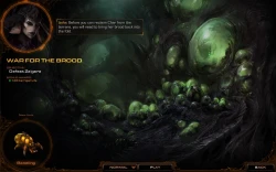 Скриншот к игре StarCraft II: Heart of the Swarm